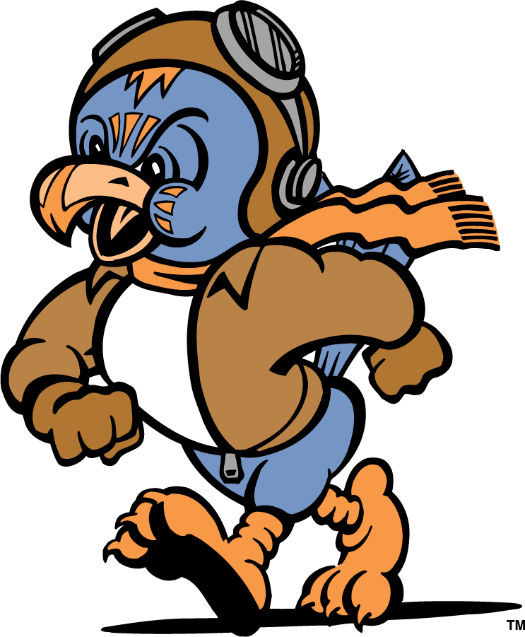 Tennessee-Martin Skyhawks 1995-2007 Mascot Logo iron on transfers for T-shirts